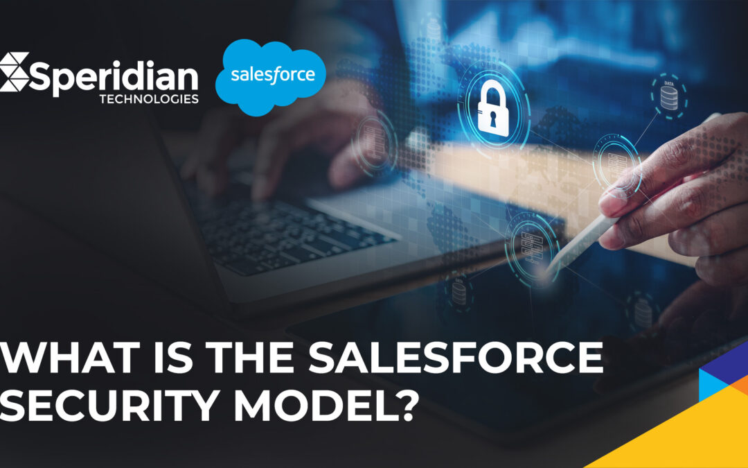 salesforce security model