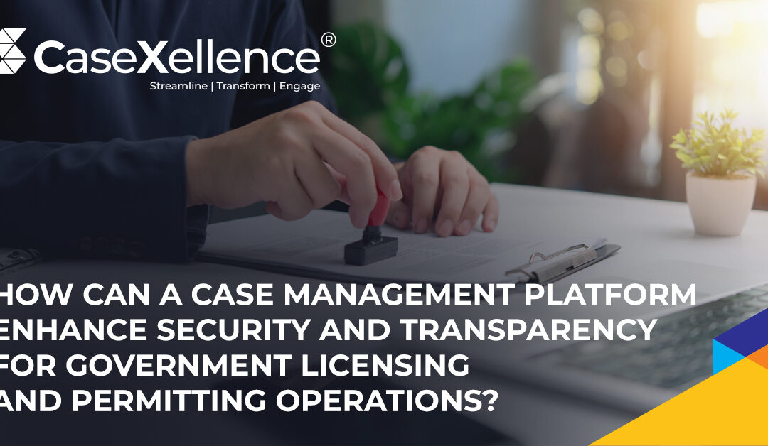 government licensing software